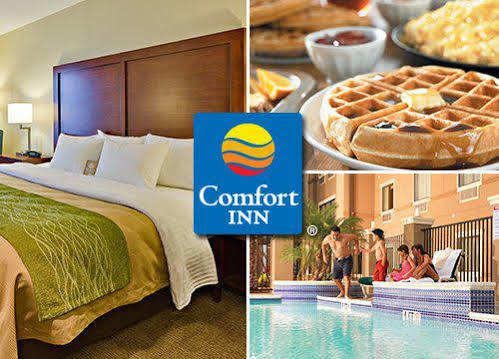Hotel Comfort 4*